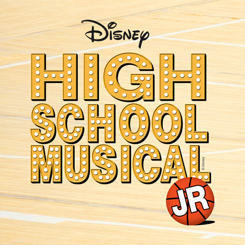 HSM-JR-web-box